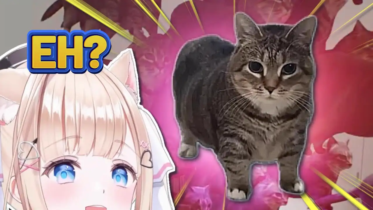 Peo Meets the OIIA Cat in Twisted Gallery